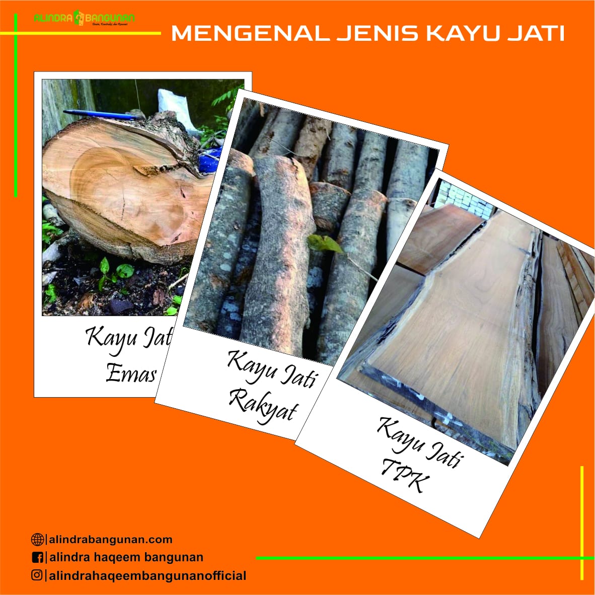 Mengenal Jenis Kayu Jati Haqeem Group